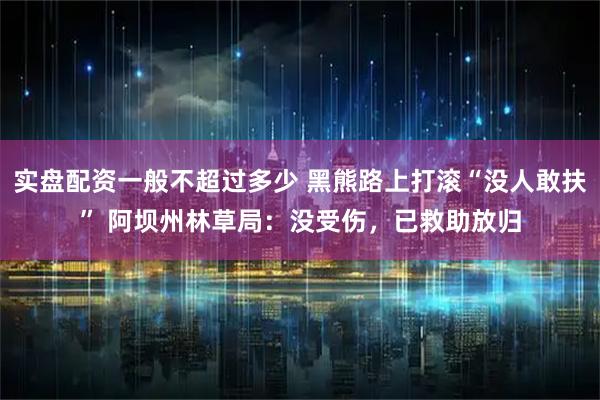 实盘配资一般不超过多少 黑熊路上打滚“没人敢扶” 阿坝州林草局：没受伤，已救助放归